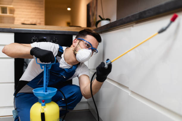 Best Pest Control Near Me in Laymantown, VA