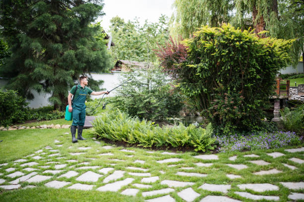 Best Pest Control Near Me  in Laymantown, VA