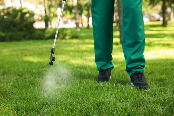 Trusted Laymantown, VA Pest Control Experts
