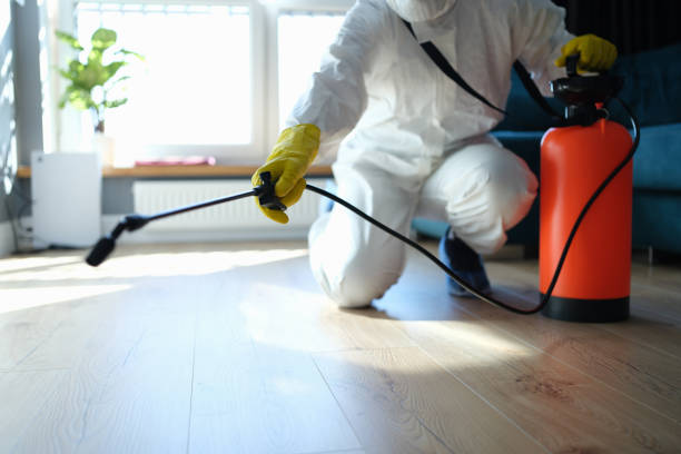 Best Insect Control  in Laymantown, VA