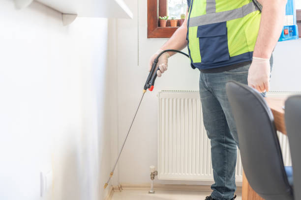 Best Mosquito Control Services  in Laymantown, VA