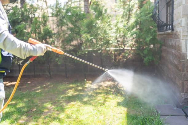 Best Cockroach Control Services  in Laymantown, VA